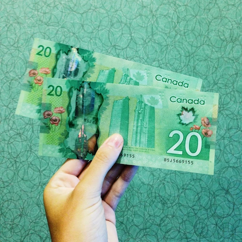 Two 20 canadian dollars